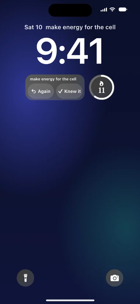 The same widget after a tap: the answer, make energy for the cell, with the buttons Again and Knew it.
